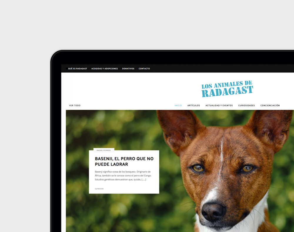 Diseno de magazine digital de naturaleza y animales presentación de diseño en 1 portátil